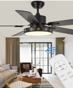 Ceiling Fan Lights